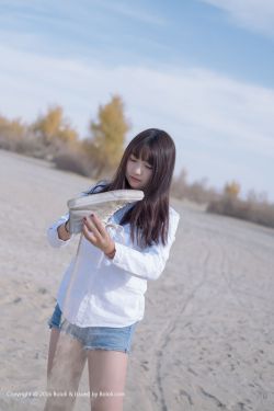 吸血鬼骑士